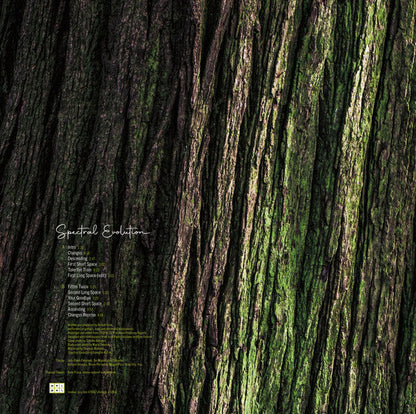 Rafael Toral - Spectral Evolution (VINYL) |-