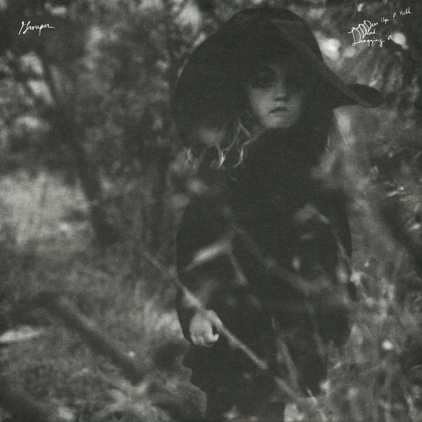 Grouper - Dragging A Dead Deer Up A Hill | Mint (M) Mint (M)-