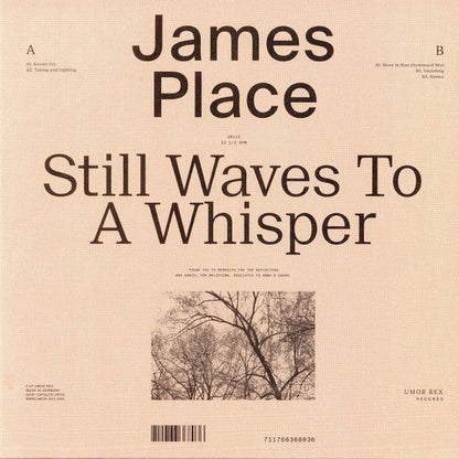 James Place Still Waves To A Whisper LP Mint (M) Mint (M)-
