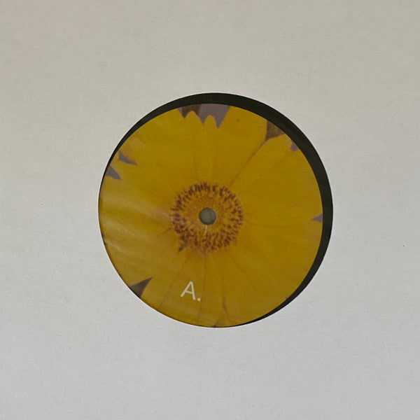 Green-House - Six Songs For Invisible Gardens | Mint (M) Mint (M)-