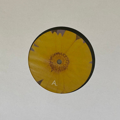 Green-House - Six Songs For Invisible Gardens | Mint (M) Mint (M)-