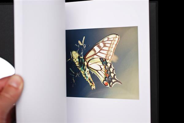 ISAM (Control Over Nature) | Mint (M) Mint (M)-