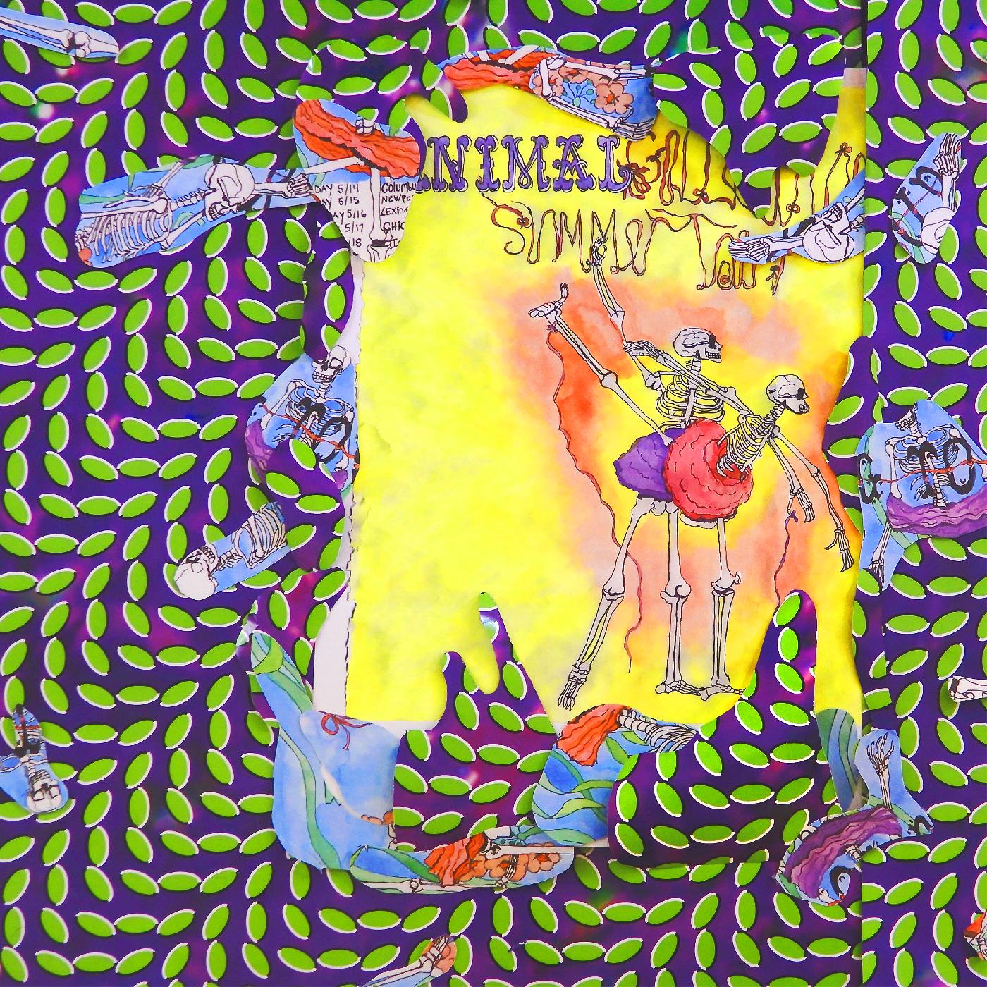 Animal Collective - Ballet Slippers | Mint (M) Mint (M)-