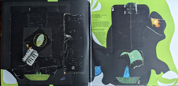 Animal Collective - Time Skiffs | Mint (M) Mint (M)-