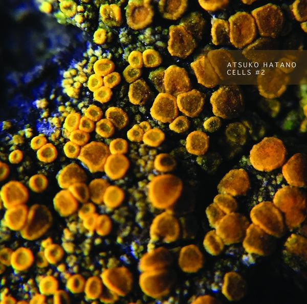 ATSUKO HATANO - Cells #2 |-
