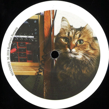 Average Joe (8) - Cool Cat EP | Mint (M) Generic-