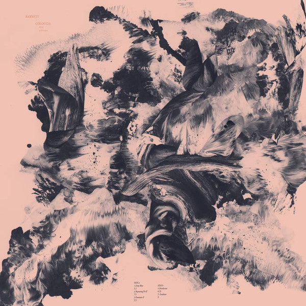 Barnett + Coloccia - Third Wilderness (VINYL) | Mint (M) Mint (M)-
