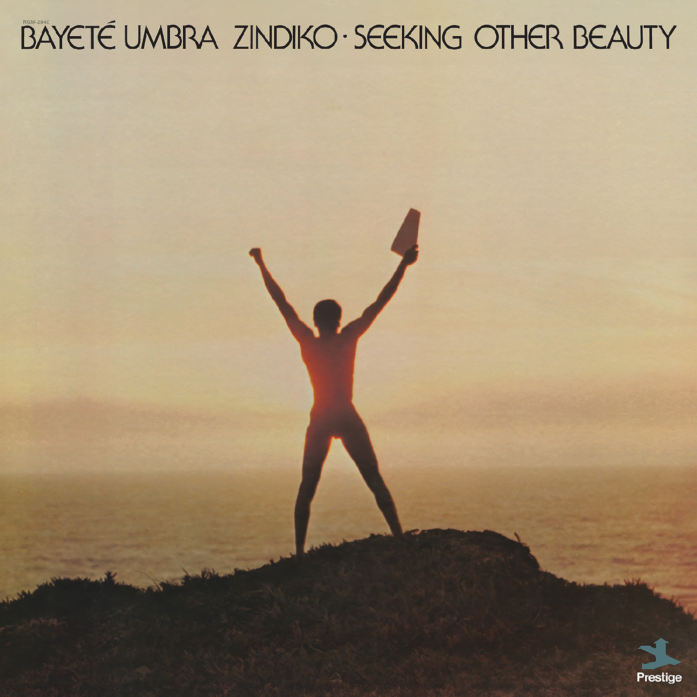 Bayeté Umbra Zindiko - Seeking Other Beauty (All-Analog) (Plasma Vinyl) |-