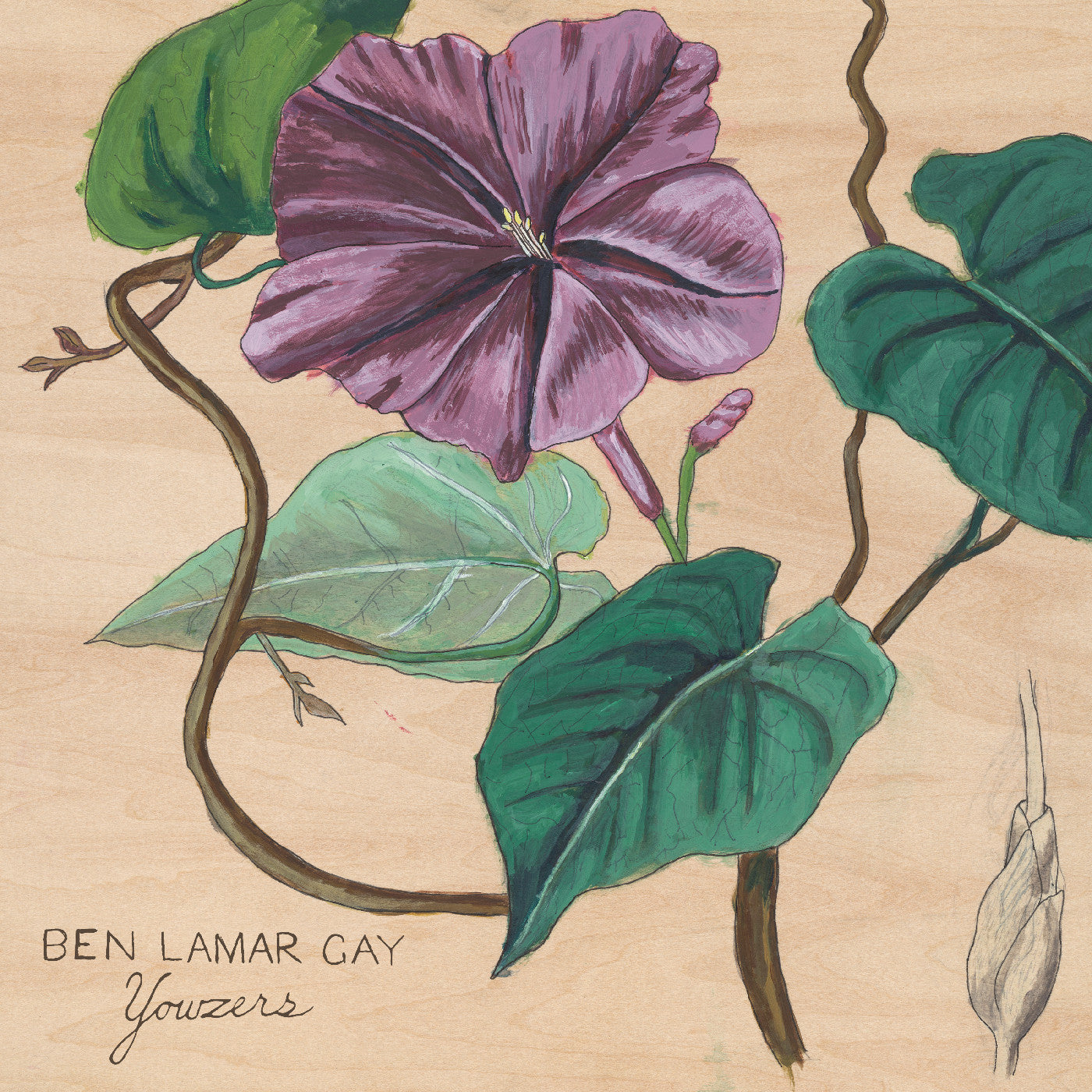 Ben LaMar Gay - Yowzers (CD) | Mint (M) Mint (M)-
