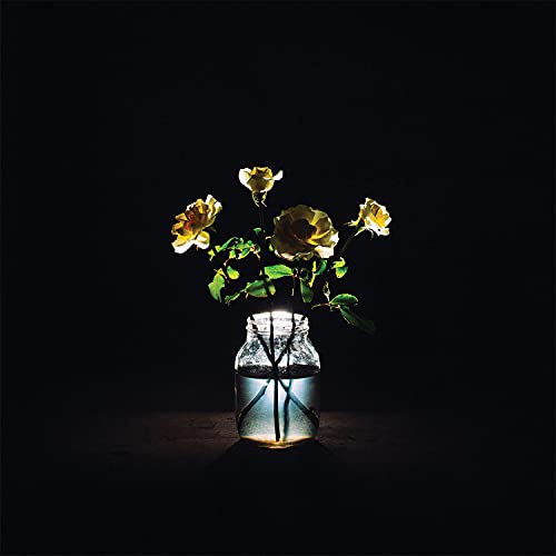 Billy Strings - Renewal (180 Gram Vinyl) (2x VINYL) | Mint (M) Mint (M)-