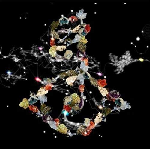 Björk - Biophilia (2xVINYL) | Mint (M) Mint (M)-