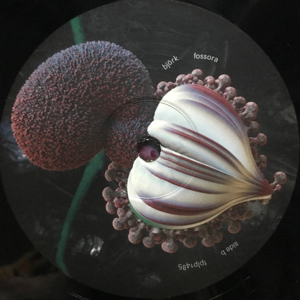 Björk - Fossora | Mint (M) Mint (M)-