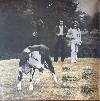 Blonde On Blonde (2) - Reflections On A Life (VINYL) | Mint (M) Mint (M)-