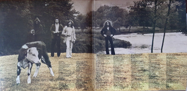 Blonde On Blonde (2) - Reflections On A Life (VINYL) | Mint (M) Mint (M)-