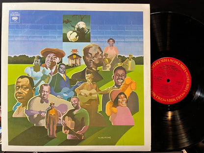Various - The Story Of The Blues (2xVINYL) | Near Mint (NM) Near Mint (NM)-