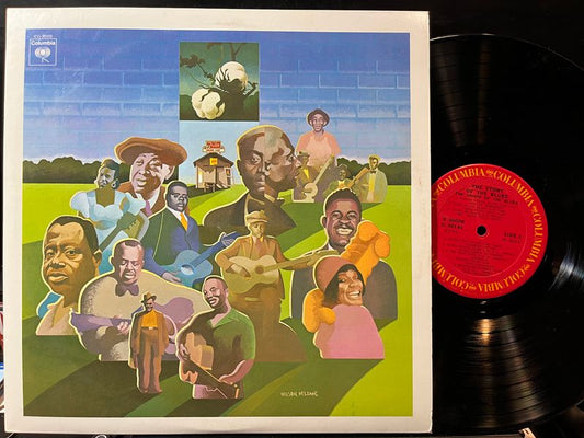 Various - The Story Of The Blues (2xVINYL) | Near Mint (NM) Near Mint (NM)-