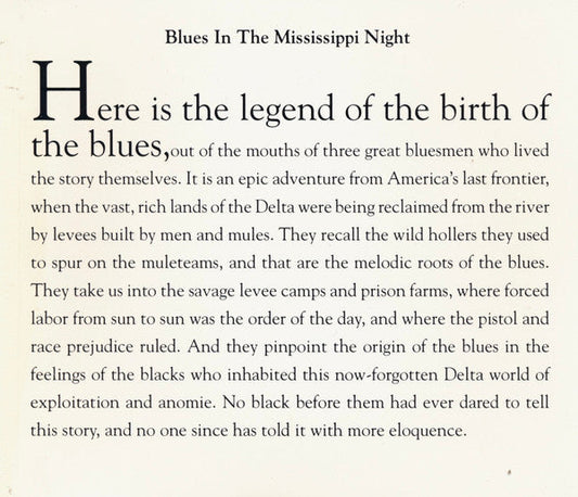 Big Bill Broonzy - Blues In The Mississippi Night (CD) | Near Mint (NM) Near Mint (NM)-