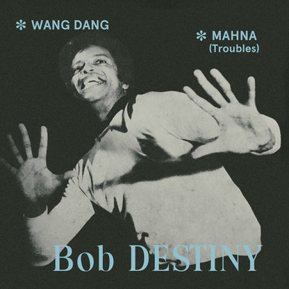 Bob Destiny - Wang Dang / Manha (Troubles) *7"* | Mint (M) Mint (M)-