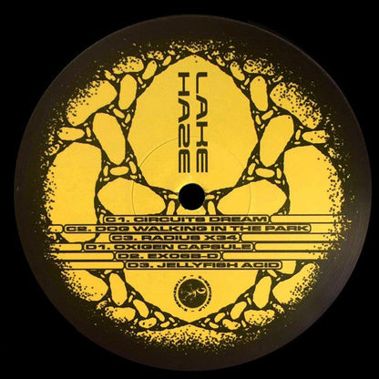 Lake Haze - Glitching Dreams (2LP VINYL) |-