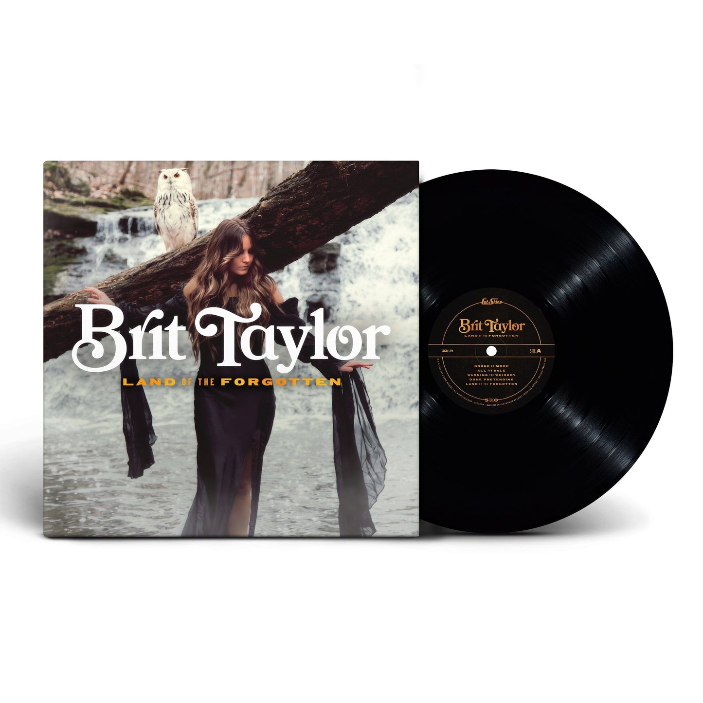 Brit Taylor - Land Of The Forgotten (VINYL) | Mint (M) Mint (M)-