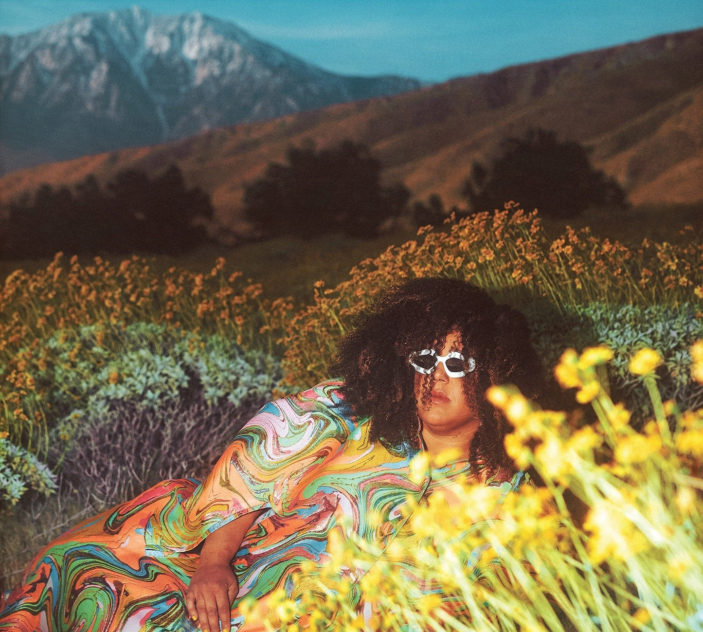 Brittany Howard - What Now (Translucent Lemonade Vinyl) | Mint (M) Mint (M)-