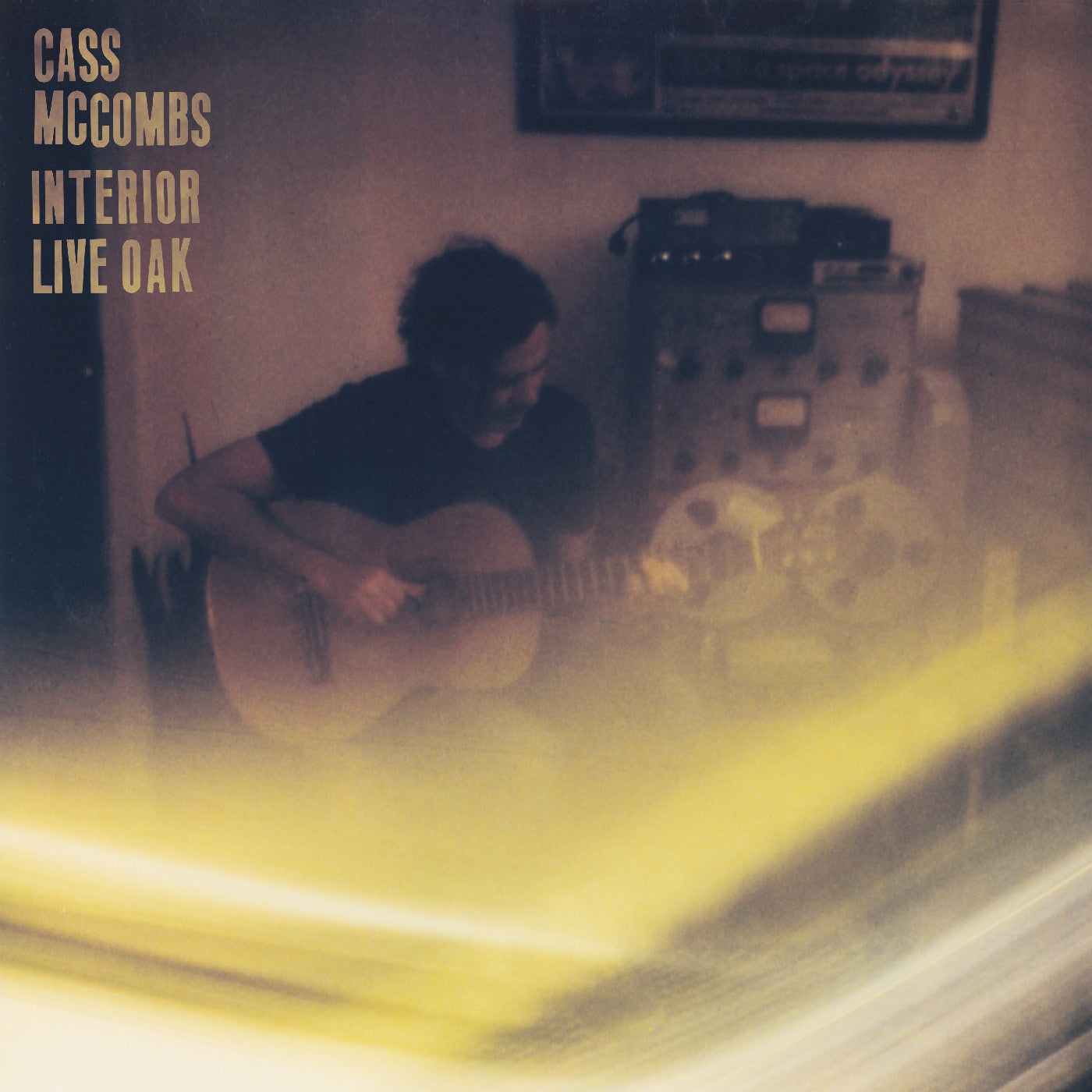 Cass McCombs - Interior Live Oak (VINYL) | Mint (M) Mint (M)-
