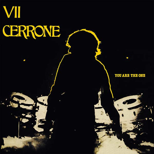 Cerrone - You Are the One (Cerrone VII)(VINYL) | Mint (M) Mint (M)-