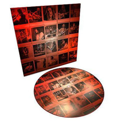 Chris Cornell - No One Sings Like You Anymore (Ltd Picture Disc) | Mint (M) Mint (M)-