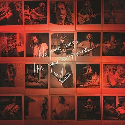 Chris Cornell - No One Sings Like You Anymore (Ltd Picture Disc) | Mint (M) Mint (M)-
