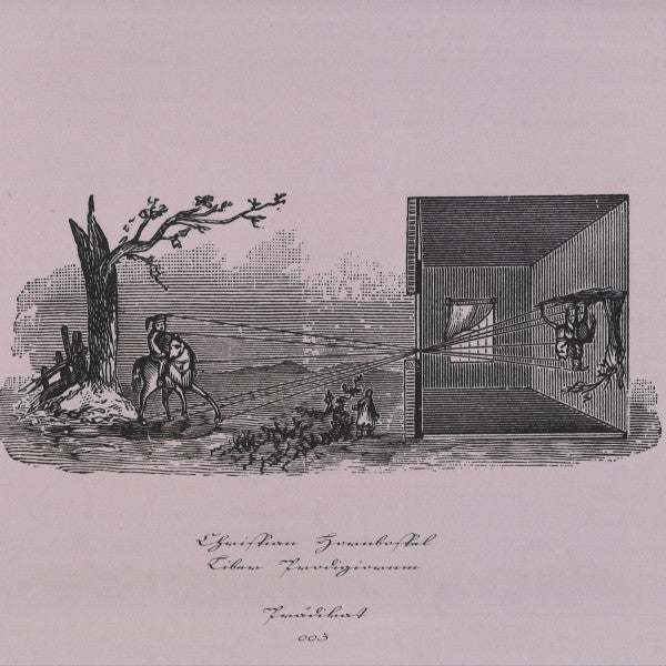 Christian Hornbostel - Liber Prodigiorum | Mint (M) Mint (M)-