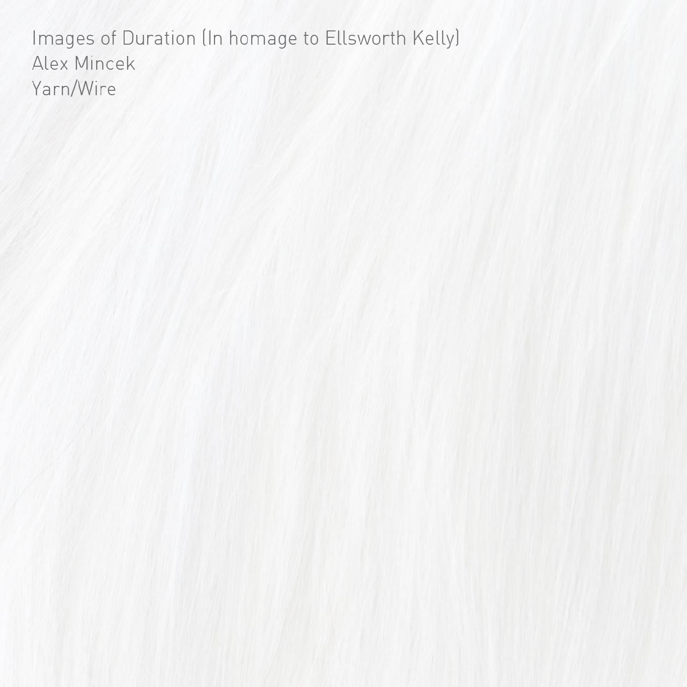 Yarn/Wire - Images of Duration (In homage to Ellsworth Kelly) (CD) | Mint Mint-