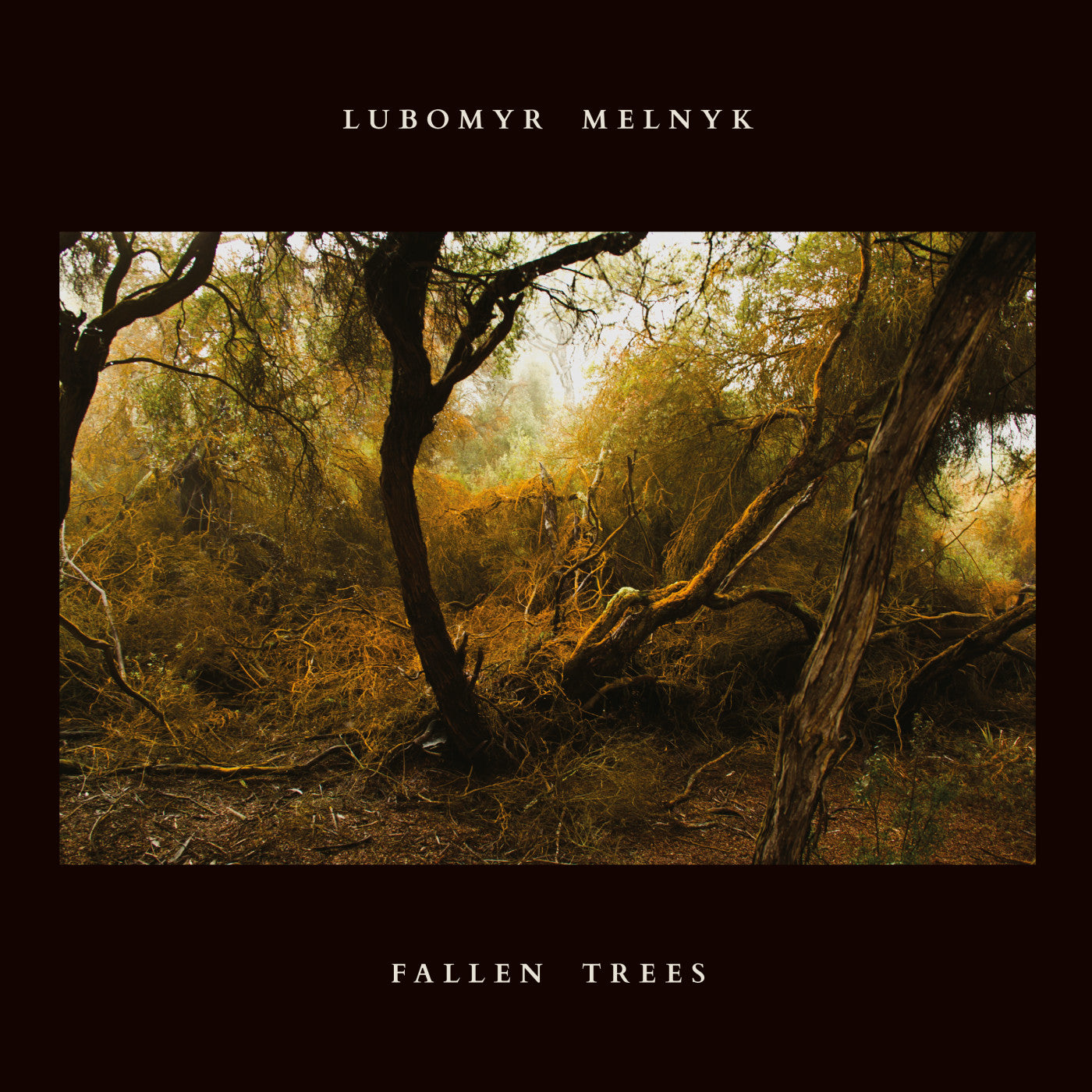 Melnyk, Lubomyr - Fallen Trees (CD) |-