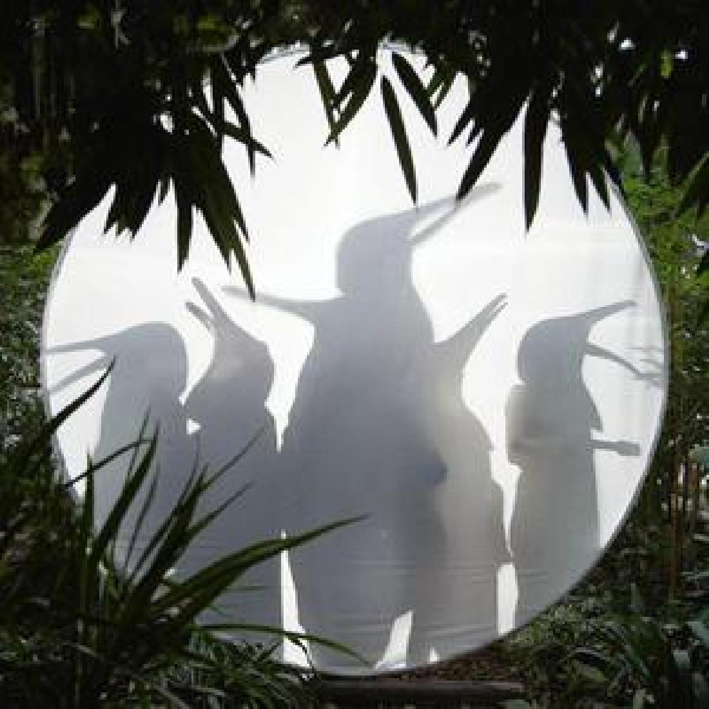 Penguin Cafe - Rain Before Seven... (PETROL GREEN VINYL) |-