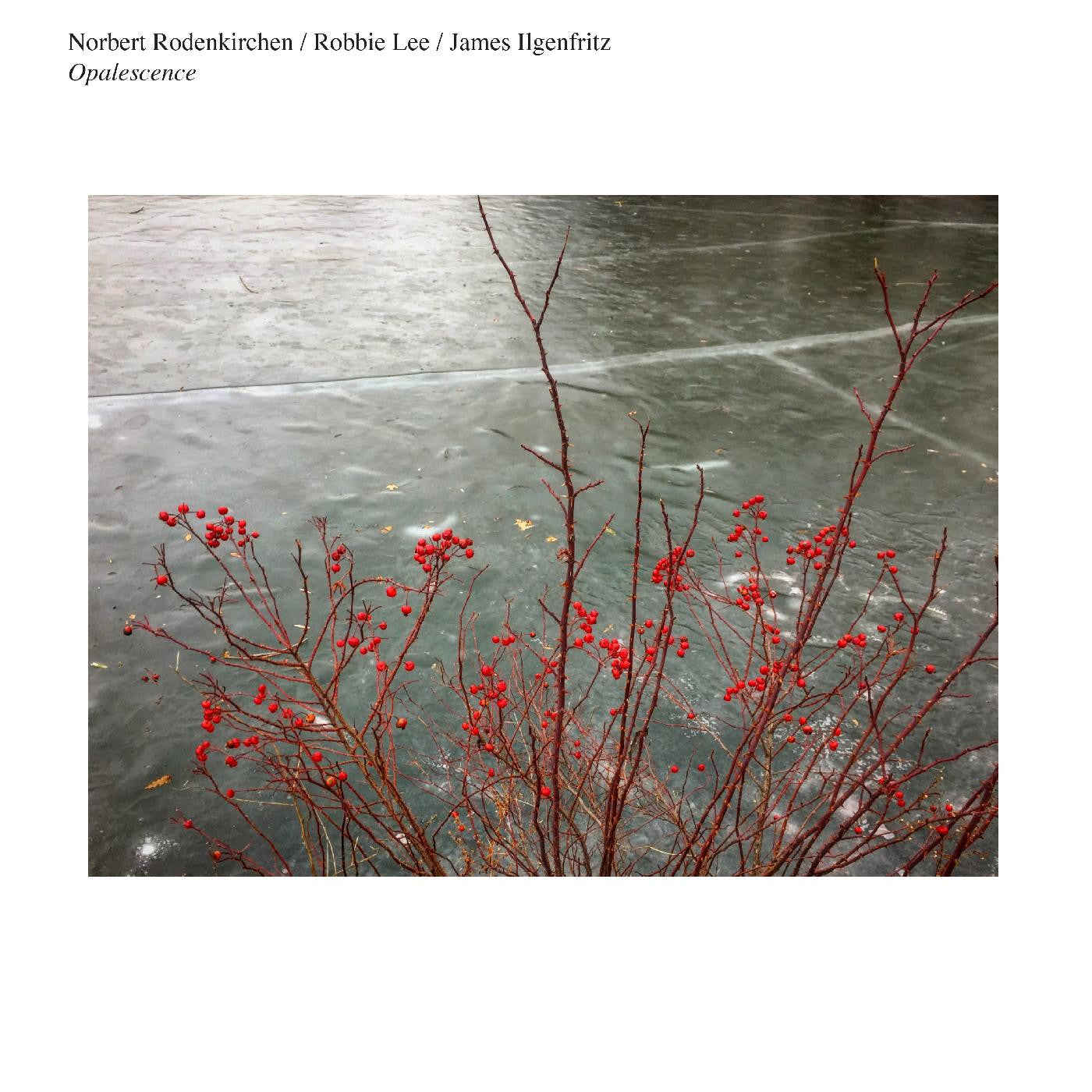 Norbert Rodenkirchen/Robbie Lee/James Ilgenfritz - Opalescence (Vinyl) | Mint (M) Mint (M)-