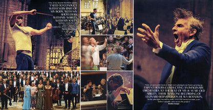 Yannick Nézet-Séguin - Maestro - Music By Leonard Bernstein (2xVINYL) | Near Mint (NM) Near Mint (NM)-