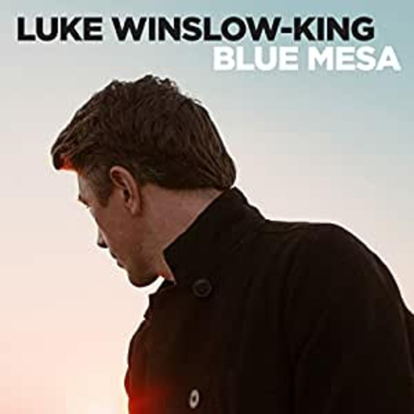 Winslow-King, Luke - Blue Mesa |-