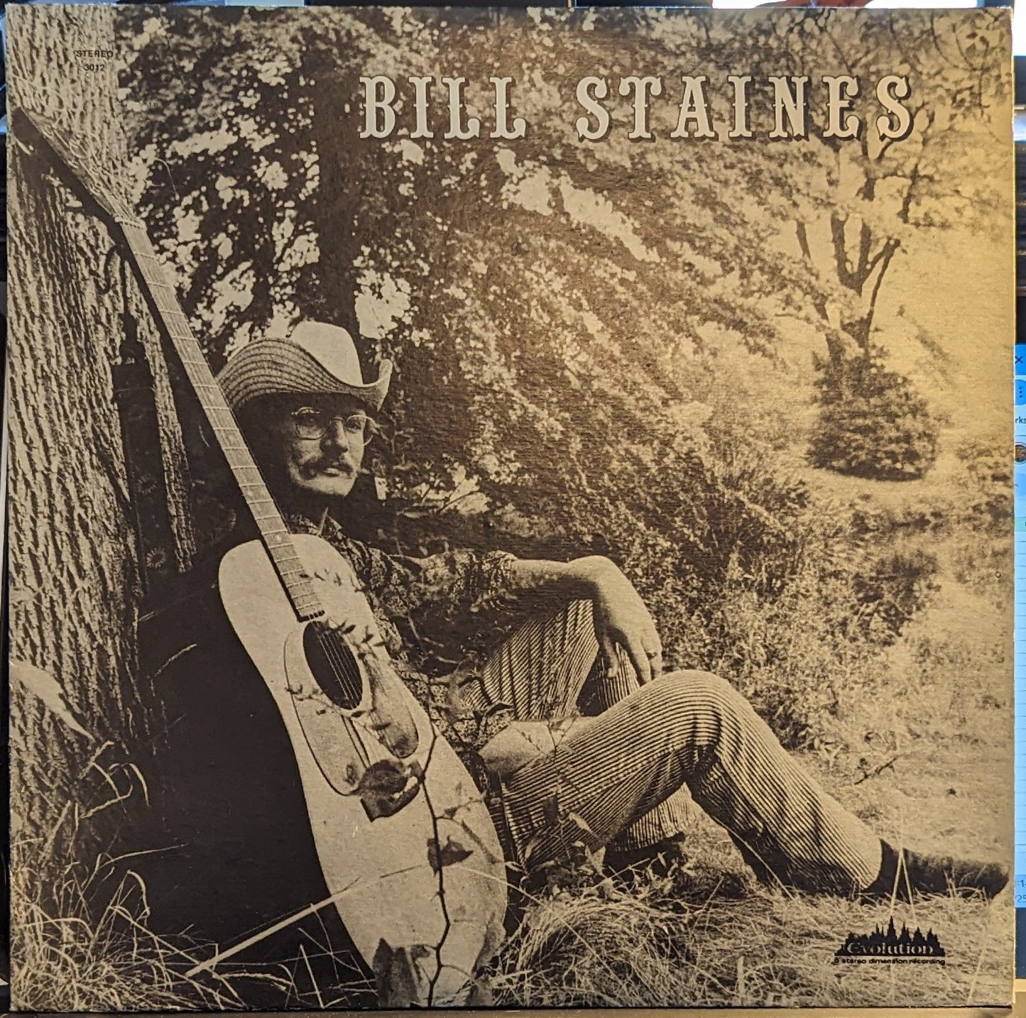 Bill Staines - Bill Staines | Near Mint (NM) Near Mint (NM)-