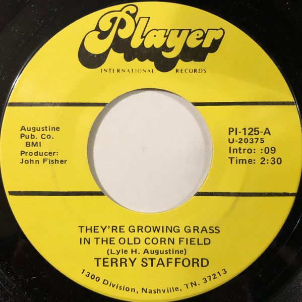 Terry Stafford - They’re Growing Grass In The Old Corn Field / Strangers With The Same Last Name | Near Mint (NM) Generic-