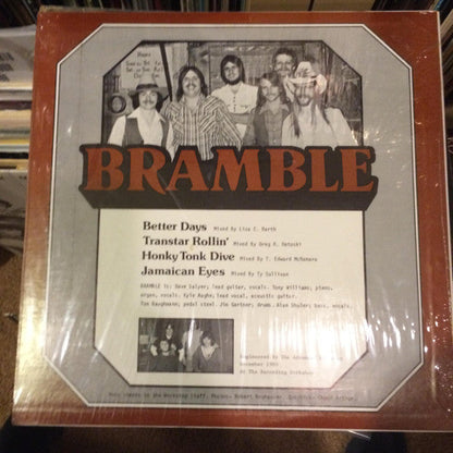 Bramble (2) - Bramble & Swankk | Near Mint (NM) Near Mint (NM)-