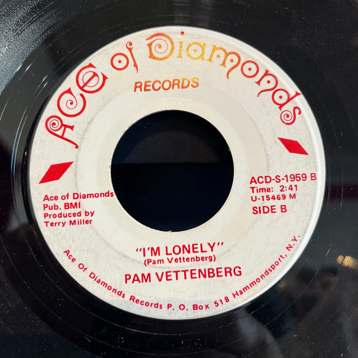Pam Vettenberg - I Couldn't Cheat On You / I'm Lonely | Very Good Plus (VG+) Generic-