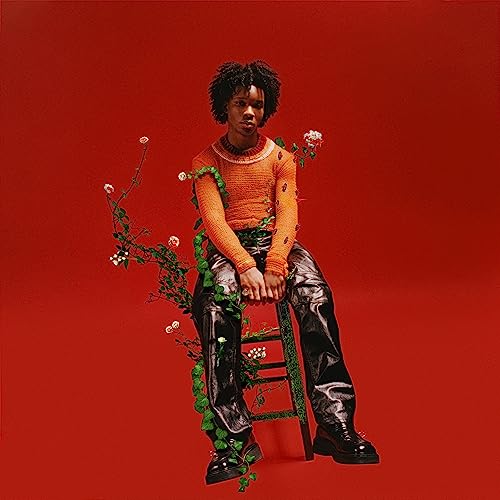 d4vd - Petals To Thorns [Translucent Black Ice LP] | Mint (M) Mint (M)-