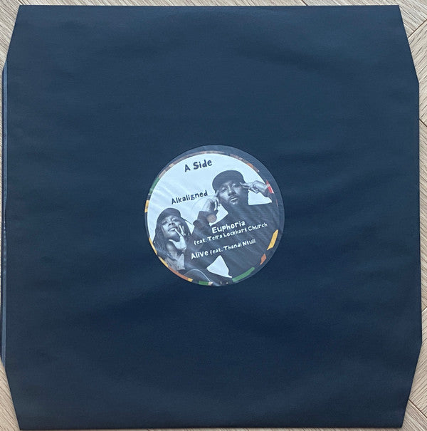 Damani Nkosi & Ill Camille - Harriett (2x VINYL) | Mint (M) Mint (M)-
