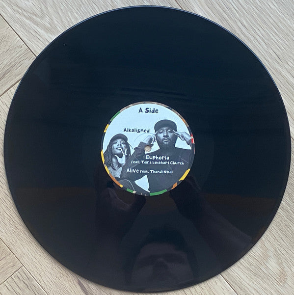 Damani Nkosi & Ill Camille - Harriett (2x VINYL) | Mint (M) Mint (M)-