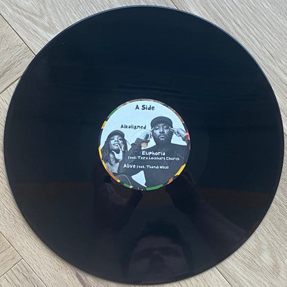 Damani Nkosi & Ill Camille - Harriett (2x VINYL) | Mint (M) Mint (M)-