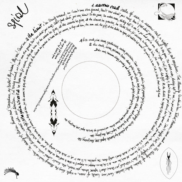 Darkside (22) - Spiral (2xVINYL) | Mint (M) Mint (M)-