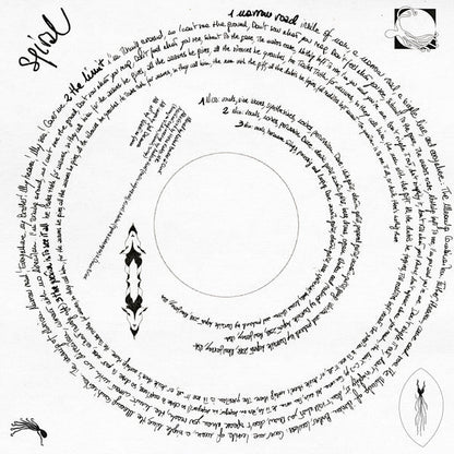 Darkside (22) - Spiral (2xVINYL) | Mint (M) Mint (M)-