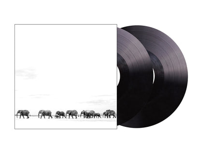 Dave Matthews Band - Where Are You Going: The Singles (2 Lp's) | Mint (M) Mint (M)-