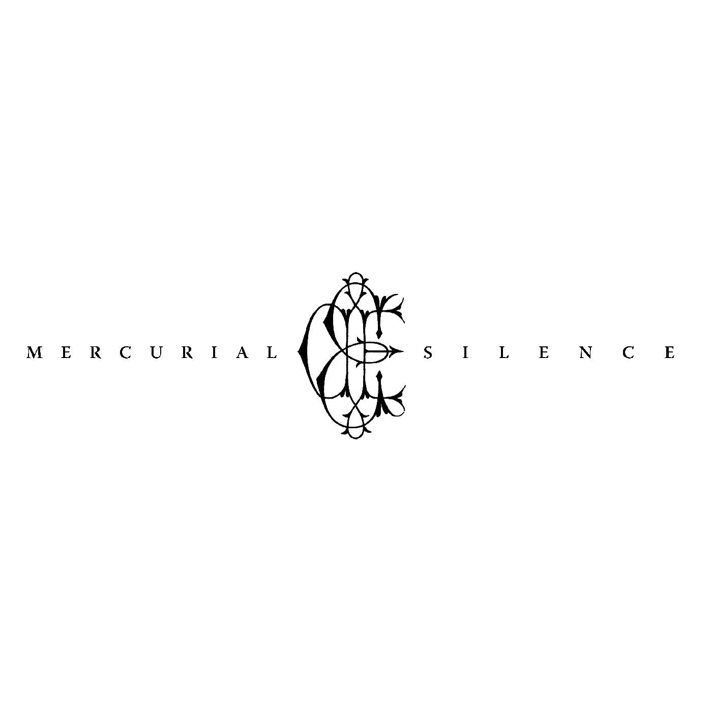 David Eugene Edwards - Mercurial Silence (CD DIGIPAK W/ LYRIC INSERT PRINTED INNER SLEEVE VINYL) | Mint (M) Mint (M)-