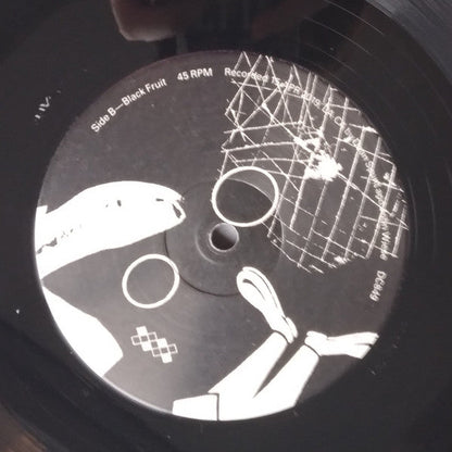 Dean Spunt, John Wiese - The Echoing Shell | Mint (M) Mint (M)-