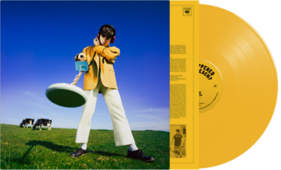 Declan Mckenna - What Happened to the Beach? (Yellow Vinyl) [INDIE EX] | Mint (M) Mint (M)-